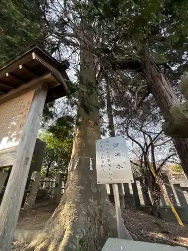 宮戸神社(埼玉県)