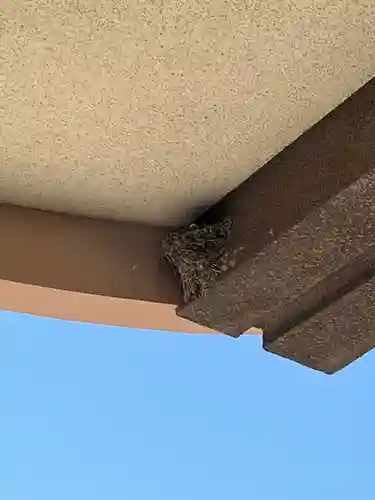 防府天満宮(山口県)