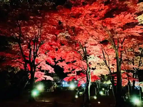 土津神社｜こどもと出世の神さまの景色