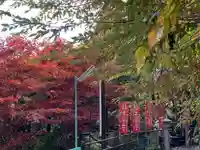 大山寺(神奈川県)