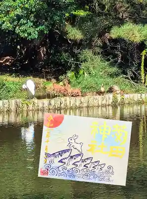 菊田神社の御朱印