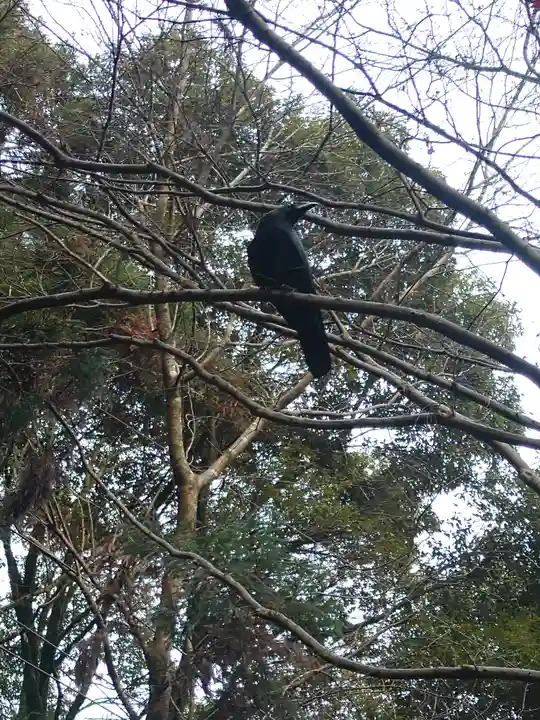 伏見稲荷大社 御膳谷奉拝所(京都府)