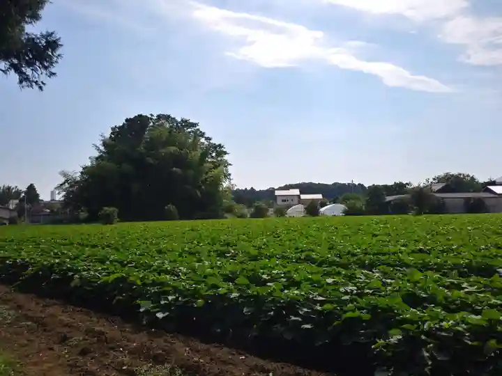 八坂神社/富士浅間神社の周辺