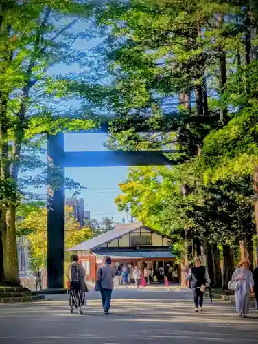 北海道神宮(北海道)