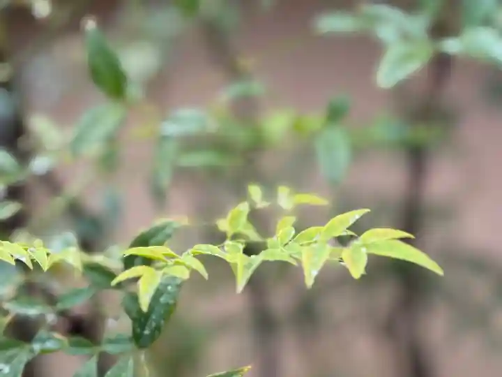 西方山極楽寺(岐阜県)