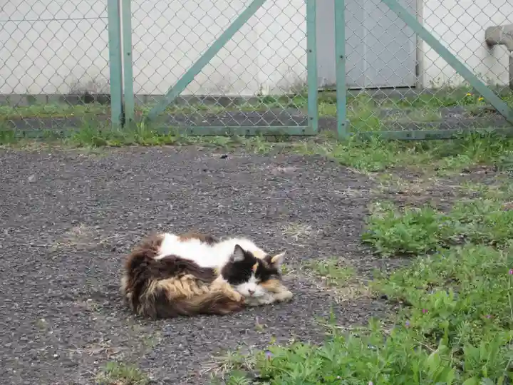 聖神社(埼玉県)