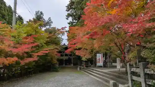 鍬山神社(京都府)