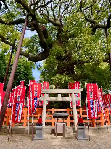 住吉大社(大阪府)