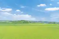 八幡神社(千葉県)