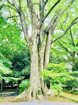 自性院(茨城県)