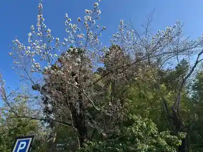 穂高神社本宮(長野県)