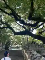 宇夫階神社のその他建物