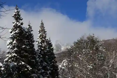 磐椅神社の自然