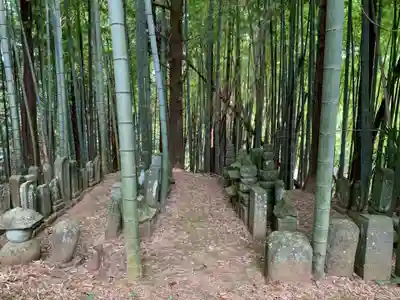 芝山仁王尊 観音教寺(千葉県)