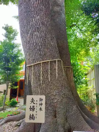鳩ヶ谷氷川神社の自然