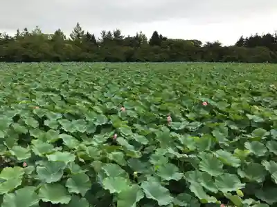 猿賀神社(青森県)