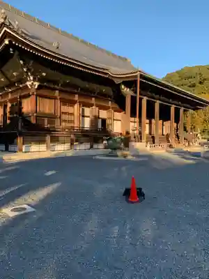 知恩院の本殿・本堂