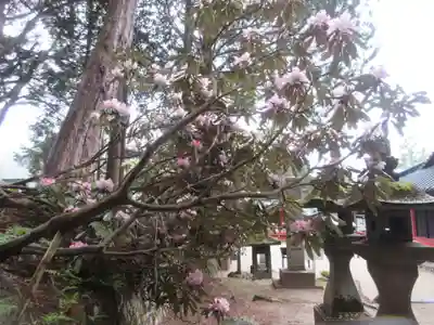 日光二荒山神社中宮祠(栃木県)