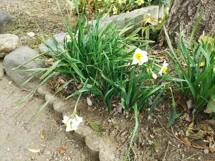 大蔵院(群馬県)