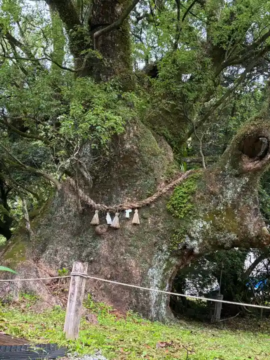 船引神社(宮崎県)