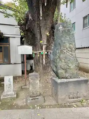 品川寺(東京都)