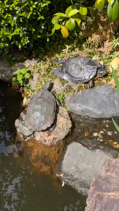 宝蔵寺(京都府)