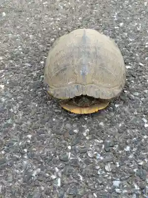 金龍院(千葉県)