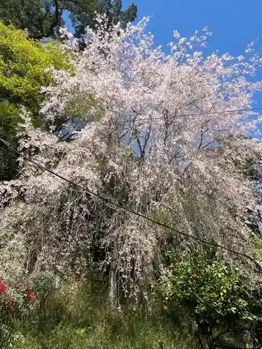 導故院(京都府)