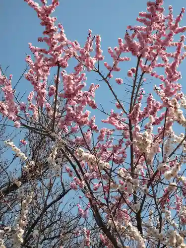 大前神社(栃木県)