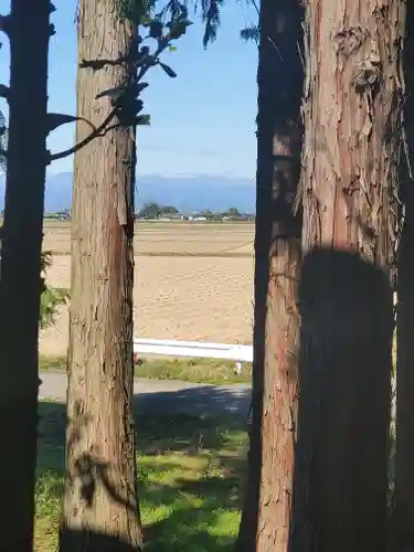 三十番神社の景色