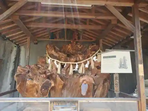 門戸厄神東光寺の自然