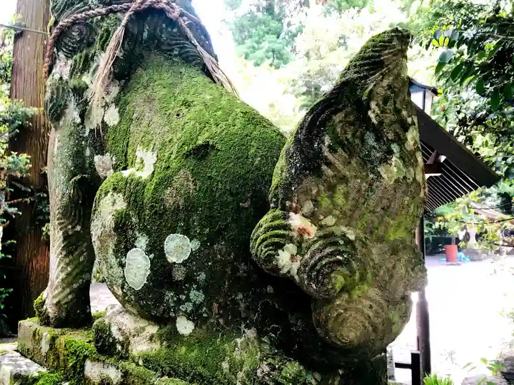 白髪神社の狛犬