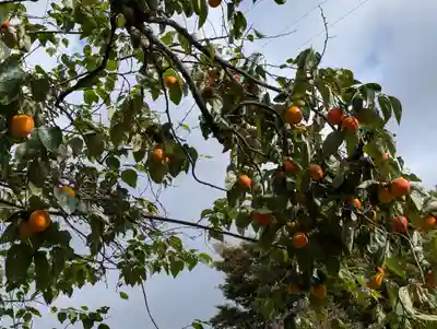 阿久津「田村神社」（郡山市阿久津町）旧社名：伊豆箱根三嶋三社(福島県)