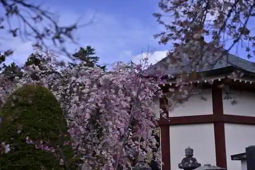 常在寺の建物その他