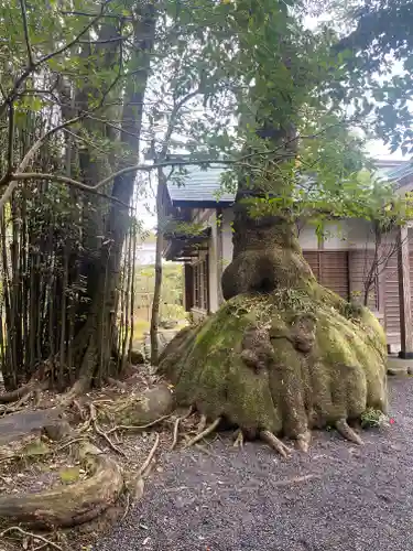 伊雜宮（皇大神宮別宮）(三重県)