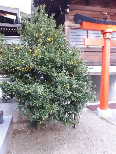 竹駒神社の自然