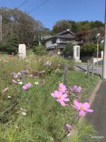 玉泉寺(東京都)