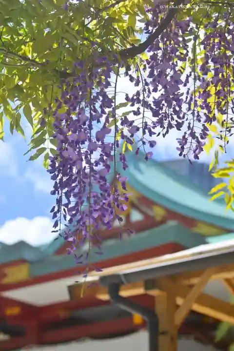 日枝神社(東京都)