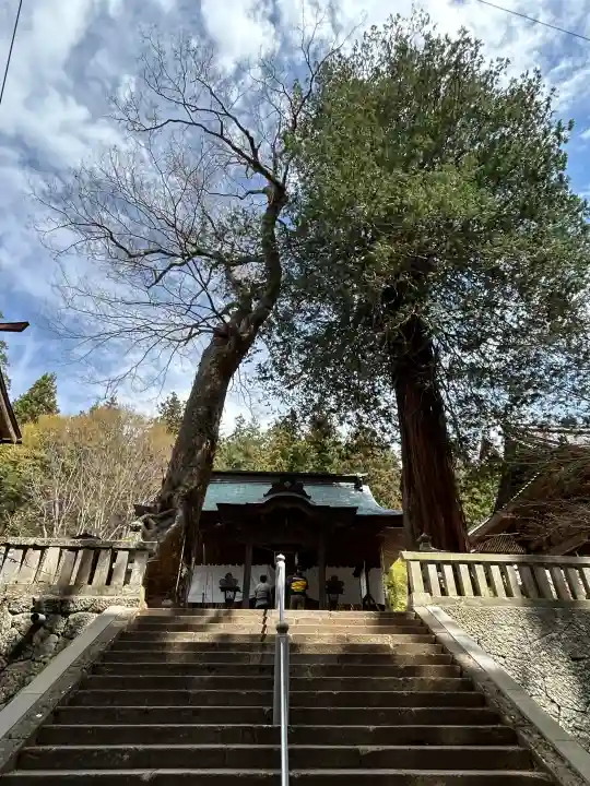 新海三社神社の{uncategorized: "未分類", other: "その他", undefined: "問題あり", building: "その他建物", grave: "お墓", sacred_gate: "鳥居", guardian: "狛犬", statue: "像", buddha: "仏像", history: "歴史", nature: "自然", garden: "庭園", animal: "動物", pagoda: "塔", temizu: "手水舎", mountain_gate: "山門・神門", sanctuary: "本殿・本堂", subordinate: "末社・摂社", art: "芸術", scenery: "景色", jizo: "地蔵", ema: "絵馬", goshuin: "御朱印", omikuji: "おみくじ", items: "授与品その他", amulet: "お守り", goshuincho: "御朱印帳", eats: "食事", festival: "お祭り", votive_dance: "神楽", shichigosan: "七五三参", wedding: "結婚式", experience: "体験その他", initially: "初詣", around: "周辺", anti_infection: "感染症対策"}