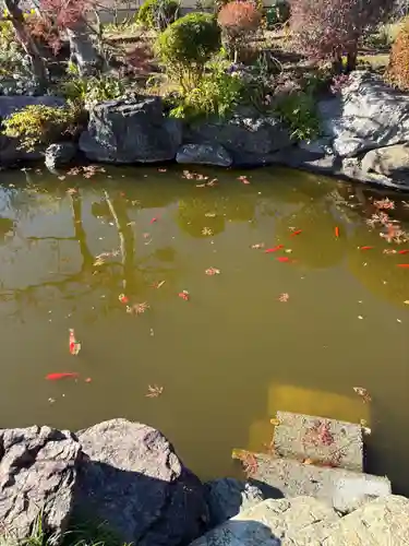 泉竜寺(乙女不動尊)(栃木県)