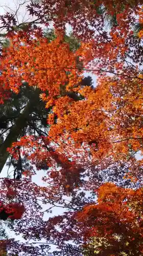 貴船神社の自然