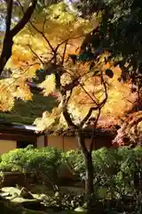 若狭神宮寺の自然