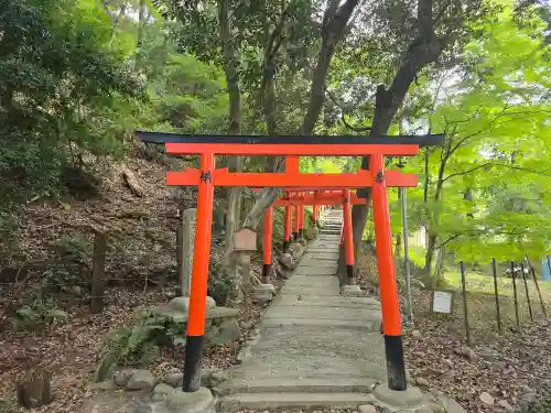 二葉姫稲荷神社(京都府)