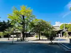 若松恵比須神社 (福岡県)