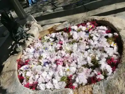 立志神社の手水舎