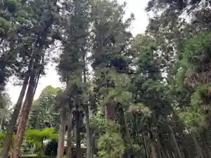 大宮温泉神社(栃木県)(2023年09月23日(土) 13時07分23秒投稿)