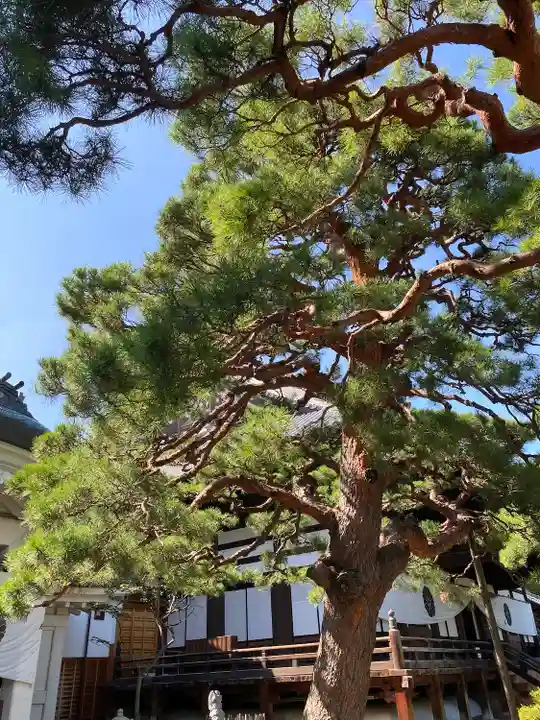 善光寺大勧進の自然