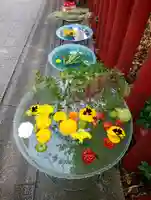 川越八幡宮(埼玉県)