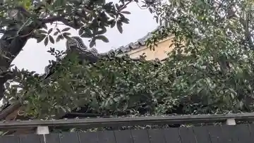 松梅院(京都府)