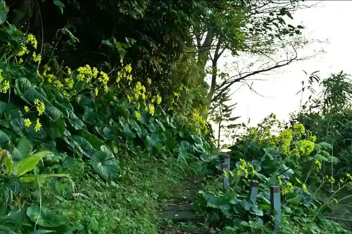 白山媛神社(新潟県)